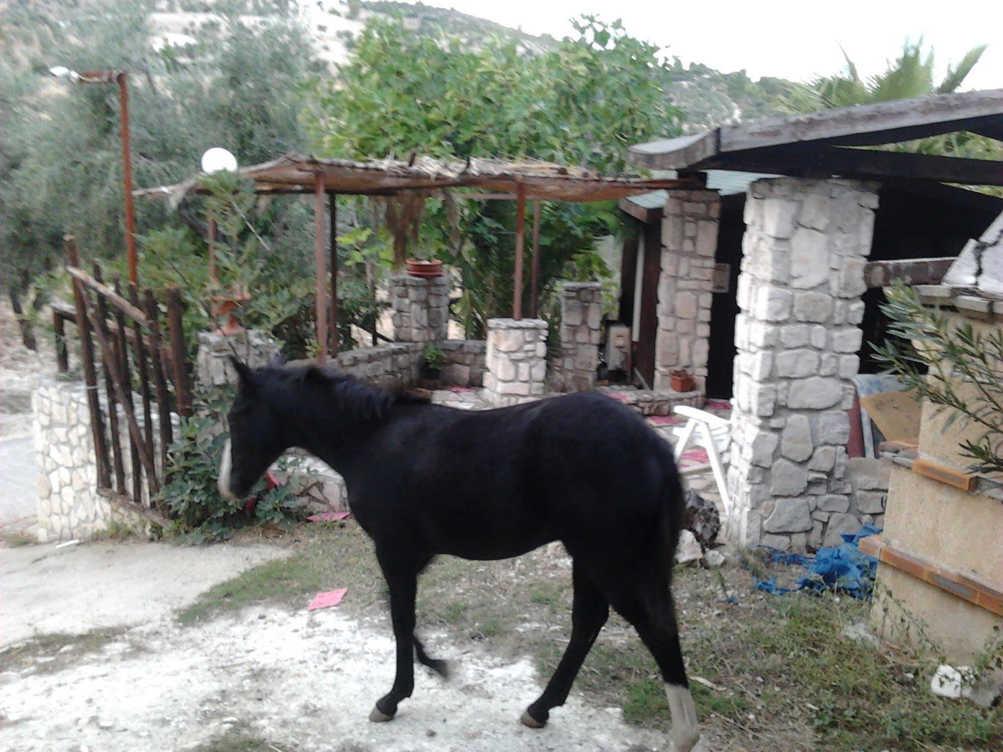 Agricostella Agriturismo Vieste Kültér fotó
